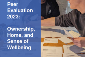 CLNM Peer Evaluation 2023